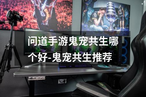 问道手游鬼宠共生哪个好-鬼宠共生推荐-第1张-游戏信息-龙启网