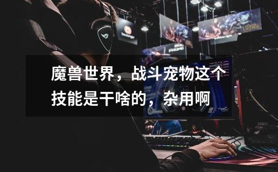 魔兽世界,战斗宠物这个技能是干啥的,杂用啊-第1张-游戏信息-龙启网