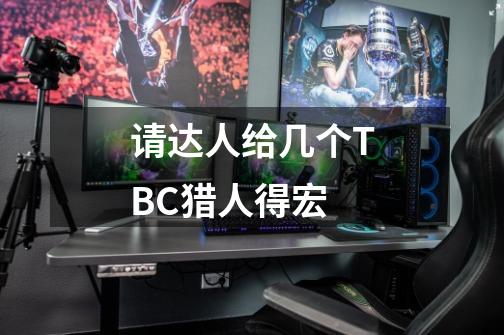 请达人给几个TBC猎人得宏-第1张-游戏信息-龙启网