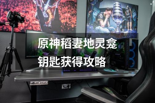 原神稻妻地灵龛钥匙获得攻略-第1张-游戏信息-龙启网
