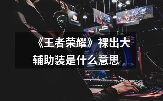 《王者荣耀》裸出大辅助装是什么意思-第1张-游戏信息-龙启网