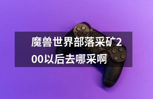 魔兽世界部落采矿200以后去哪采啊-第1张-游戏信息-龙启网