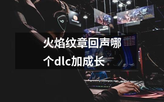 火焰纹章回声哪个dlc加成长-第1张-游戏信息-龙启网