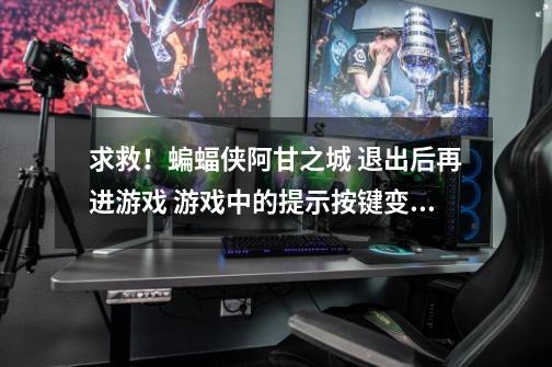 求救!蝙蝠侠阿甘之城 退出后再进游戏 游戏中的提示按键变了XBOX360的按键而且变得很卡,请问是什么原因-第1张-游戏信息-龙启网