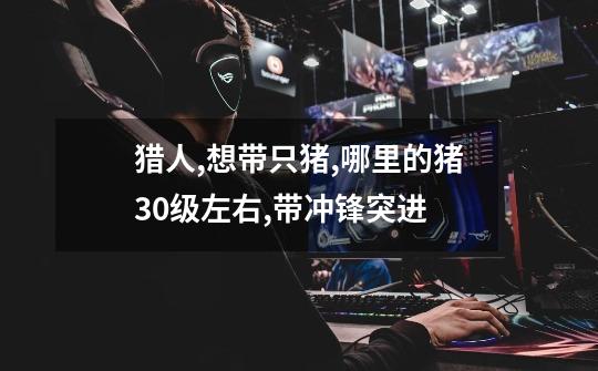 猎人,想带只猪,哪里的猪30级左右,带冲锋突进.-第1张-游戏信息-龙启网
