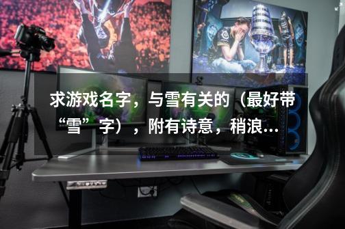 求游戏名字，与雪有关的（最好带“雪”字），附有诗意，稍浪漫一点的，能突出飘雪那种意境……男生的-第1张-游戏信息-龙启网