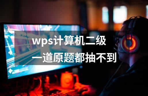 wps计算机二级一道原题都抽不到-第1张-游戏信息-龙启网