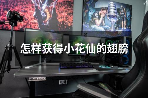 怎样获得小花仙的翅膀-第1张-游戏信息-龙启网