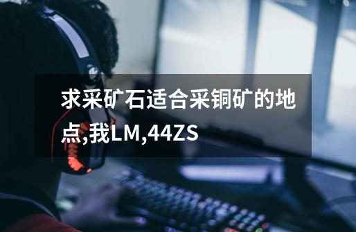 求采矿石适合采铜矿的地点,我LM,44ZS-第1张-游戏信息-龙启网
