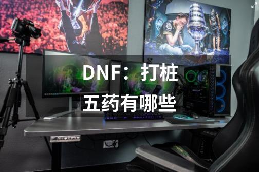 DNF:打桩五药有哪些-第1张-游戏信息-龙启网
