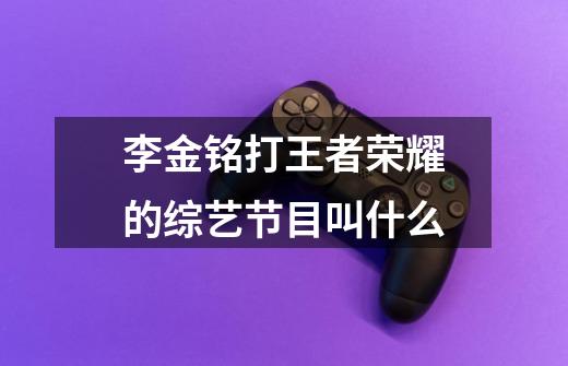 李金铭打王者荣耀的综艺节目叫什么-第1张-游戏信息-龙启网