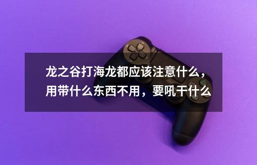 龙之谷打海龙都应该注意什么,用带什么东西不用,要吼干什么-第1张-游戏信息-龙启网