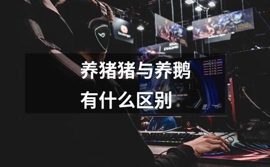养猪猪与养鹅有什么区别-第1张-游戏信息-龙启网