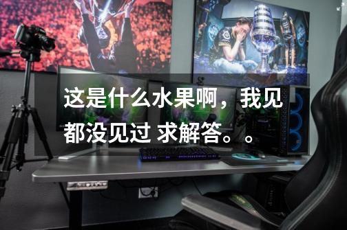 这是什么水果啊，我见都没见过 求解答。。-第1张-游戏信息-龙启网
