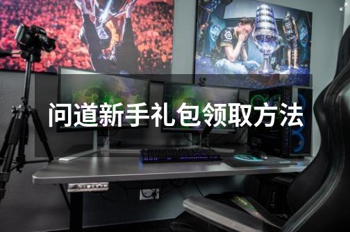问道新手礼包领取方法-第1张-游戏信息-龙启网
