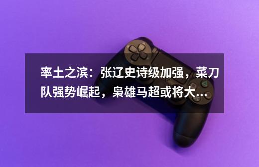 率土之滨:张辽史诗级加强,菜刀队强势崛起,枭雄马超或将大热-第1张-游戏信息-龙启网