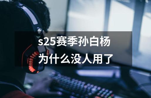 s25赛季孙白杨为什么没人用了-第1张-游戏信息-龙启网