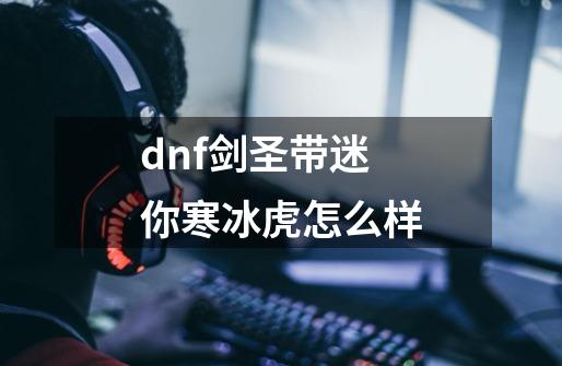 dnf剑圣带迷你寒冰虎怎么样-第1张-游戏信息-龙启网