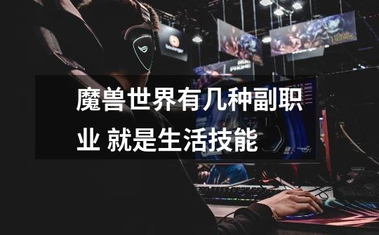 魔兽世界有几种副职业 就是生活技能-第1张-游戏信息-龙启网