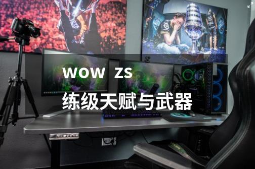 wow zs练级天赋与武器-第1张-游戏信息-龙启网