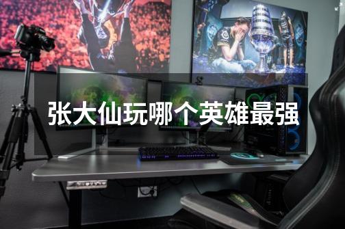 张大仙玩哪个英雄最强-第1张-游戏信息-龙启网