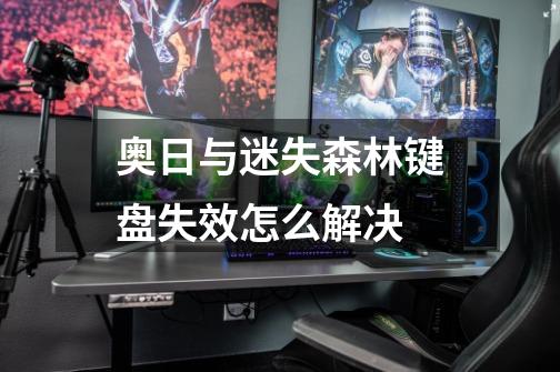 奥日与迷失森林键盘失效怎么解决-第1张-游戏信息-龙启网