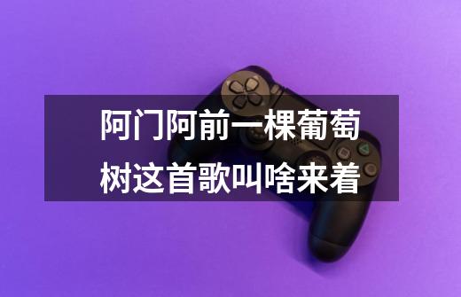 阿门阿前一棵葡萄树这首歌叫啥来着-第1张-游戏信息-龙启网