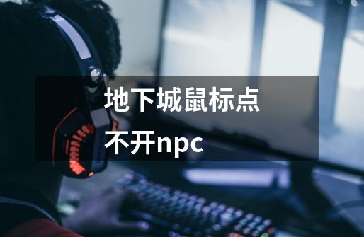 地下城鼠标点不开npc-第1张-游戏信息-龙启网