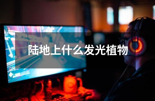 陆地上什么发光植物-第1张-游戏信息-龙启网