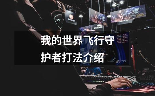 我的世界飞行守护者打法介绍-第1张-游戏信息-龙启网