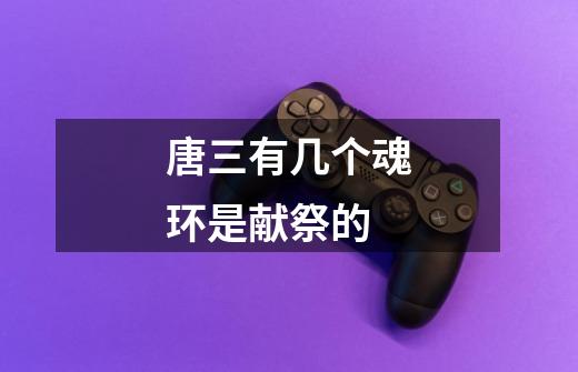 唐三有几个魂环是献祭的-第1张-游戏信息-龙启网