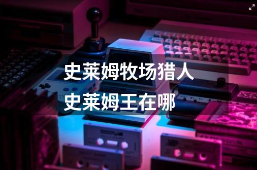 史莱姆牧场猎人史莱姆王在哪-第1张-游戏信息-龙启网