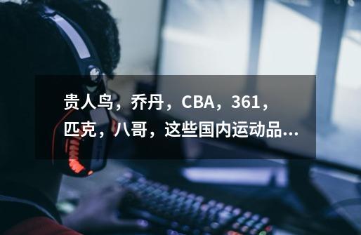 贵人鸟,乔丹,CBA,361,匹克,八哥,这些国内运动品牌哪个好-第1张-游戏信息-龙启网