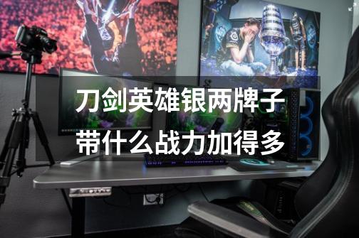 刀剑英雄银两牌子带什么战力加得多-第1张-游戏信息-龙启网