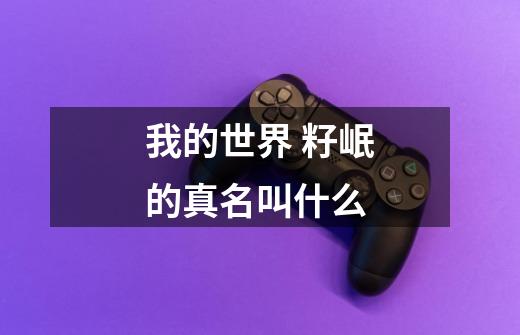 我的世界 籽岷的真名叫什么-第1张-游戏信息-龙启网