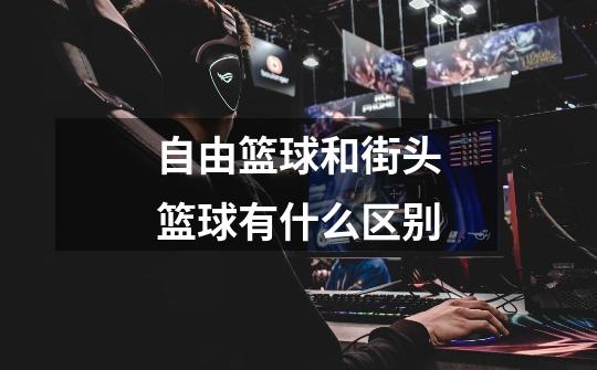 自由篮球和街头篮球有什么区别-第1张-游戏信息-龙启网