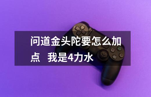 问道金头陀要怎么加点   我是4力水-第1张-游戏信息-龙启网