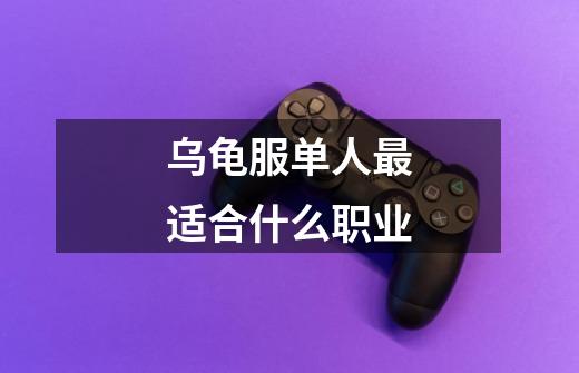 乌龟服单人最适合什么职业-第1张-游戏信息-龙启网