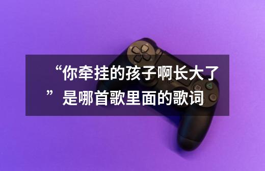 “你牵挂的孩子啊长大了”是哪首歌里面的歌词-第1张-游戏信息-龙启网