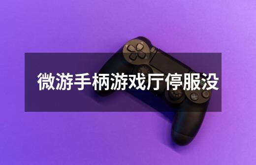 微游手柄游戏厅停服没-第1张-游戏信息-龙启网