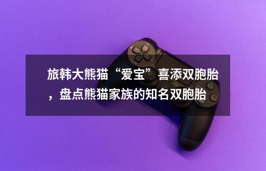 旅韩大熊猫“爱宝”喜添双胞胎,盘点熊猫家族的知名双胞胎-第1张-游戏信息-龙启网