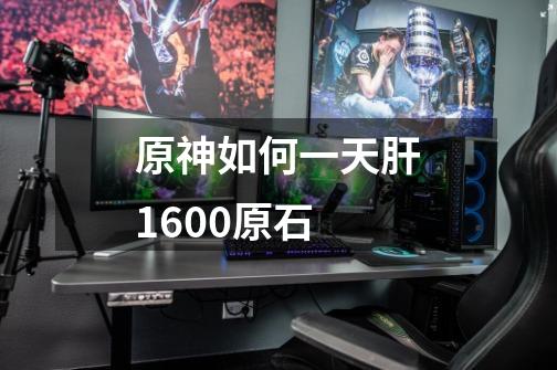原神如何一天肝1600原石-第1张-游戏信息-龙启网