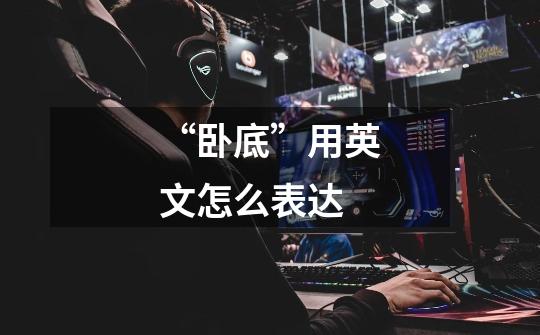 “卧底”用英文怎么表达-第1张-游戏信息-龙启网