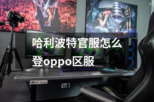 哈利波特官服怎么登oppo区服-第1张-游戏信息-龙启网