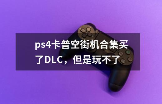ps4卡普空街机合集买了DLC,但是玩不了-第1张-游戏信息-龙启网