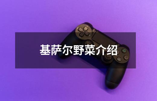 基萨尔野菜介绍-第1张-游戏信息-龙启网