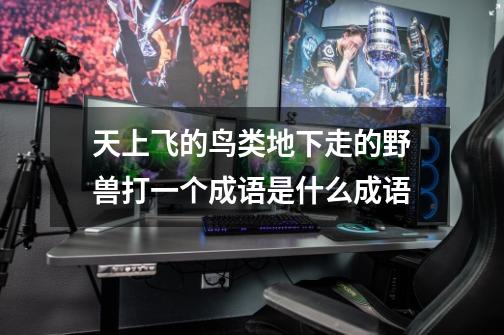 天上飞的鸟类地下走的野兽打一个成语是什么成语-第1张-游戏信息-龙启网