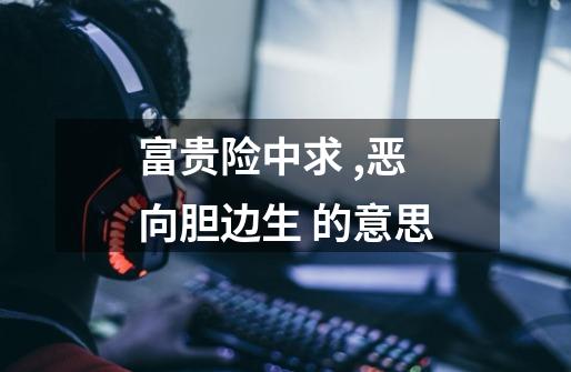 富贵险中求 ,恶向胆边生. 的意思-第1张-游戏信息-龙启网