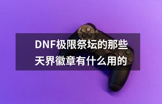DNF极限祭坛的那些天界徽章有什么用的-第1张-游戏信息-龙启网