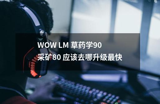 WOW LM 草药学90 采矿80 应该去哪升级最快-第1张-游戏信息-龙启网